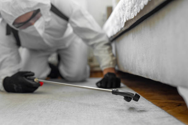 Professional Bed Bug Control technician working in Emmet County County, IA